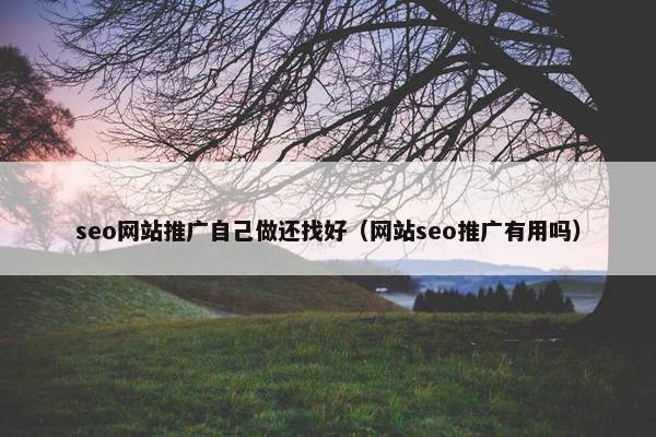 seo网站推广自己做还找好（网站seo推广有用吗）