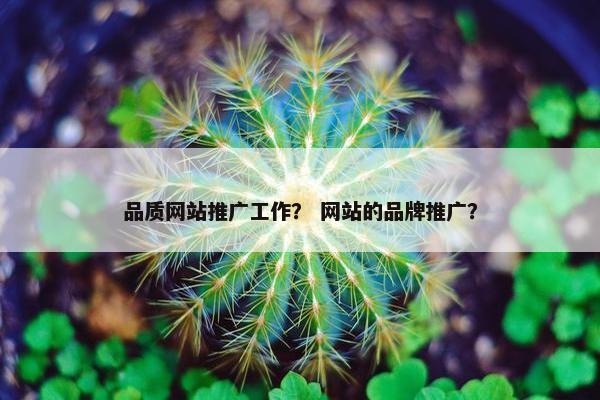 品质网站推广工作？ 网站的品牌推广？