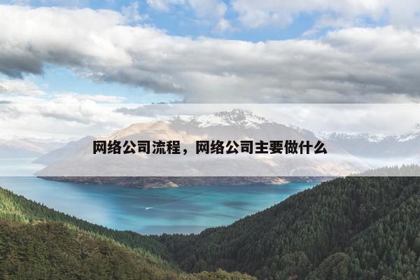 网络公司流程，网络公司主要做什么