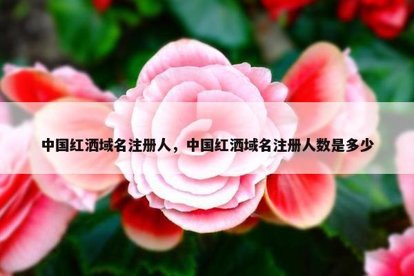 中国红洒域名注册人，中国红洒域名注册人数是多少