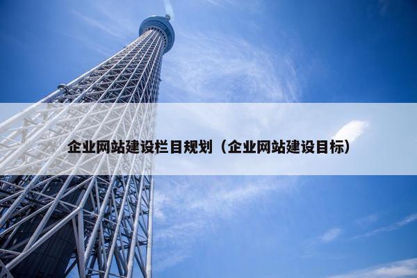 企业网站建设栏目规划（企业网站建设目标）