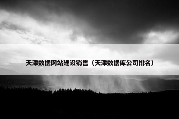 天津数据网站建设销售（天津数据库公司排名）