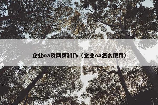 企业oa及网页制作（企业oa怎么使用）