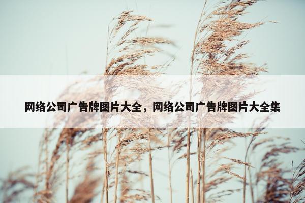 网络公司广告牌图片大全，网络公司广告牌图片大全集