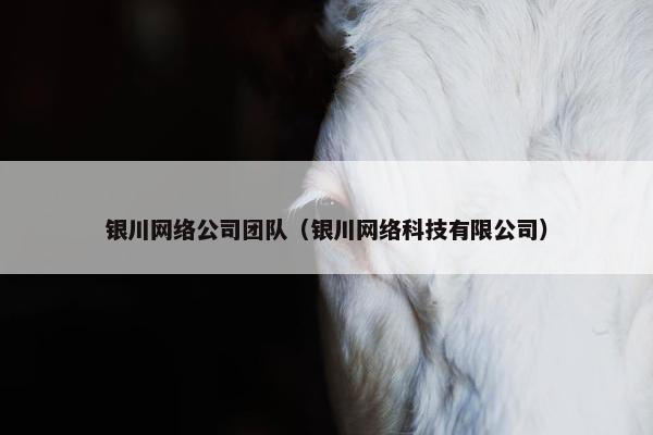 银川网络公司团队（银川网络科技有限公司）