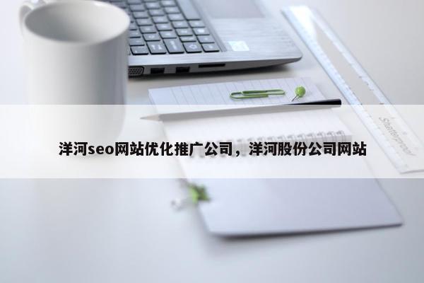 洋河seo网站优化推广公司，洋河股份公司网站