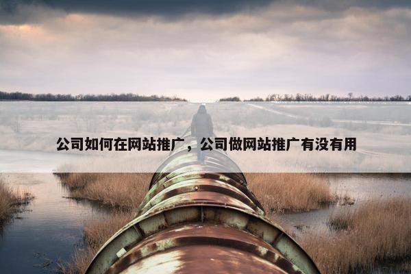 公司如何在网站推广，公司做网站推广有没有用