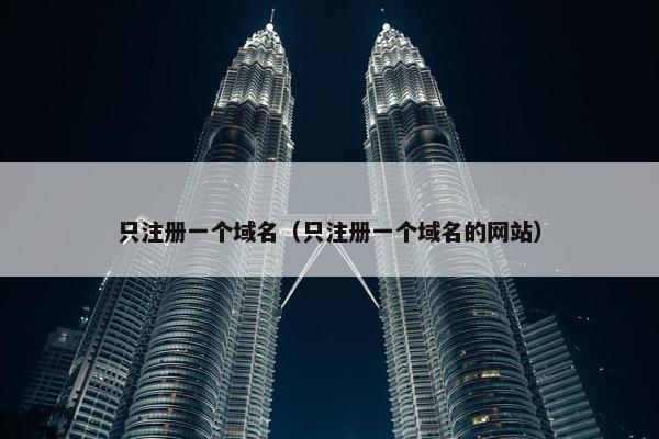 只注册一个域名（只注册一个域名的网站）