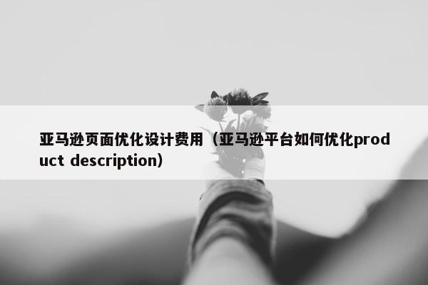 亚马逊页面优化设计费用（亚马逊平台如何优化product description）