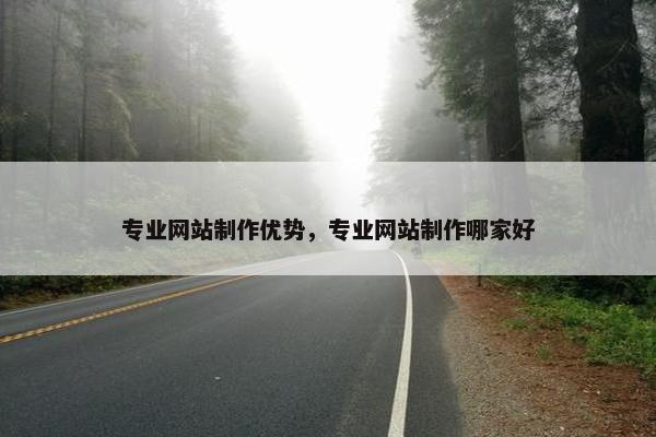 专业网站制作优势，专业网站制作哪家好