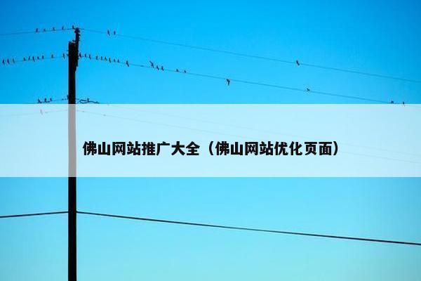 佛山网站推广大全（佛山网站优化页面）