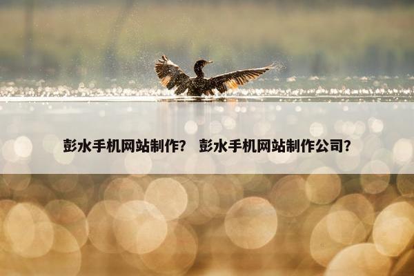 彭水手机网站制作？ 彭水手机网站制作公司？