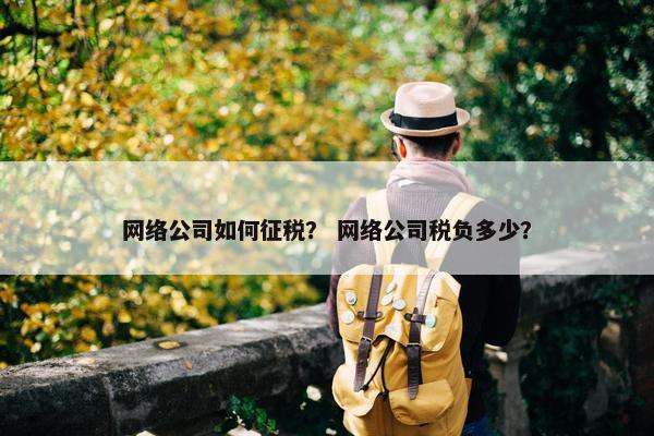 网络公司如何征税？ 网络公司税负多少？