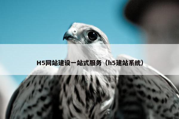 H5网站建设一站式服务（h5建站系统）