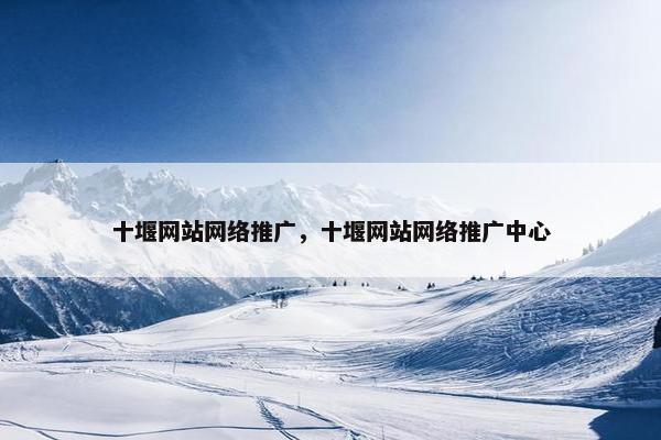 十堰网站网络推广，十堰网站网络推广中心