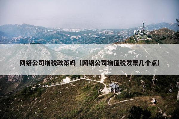 网络公司增税政策吗（网络公司增值税发票几个点）