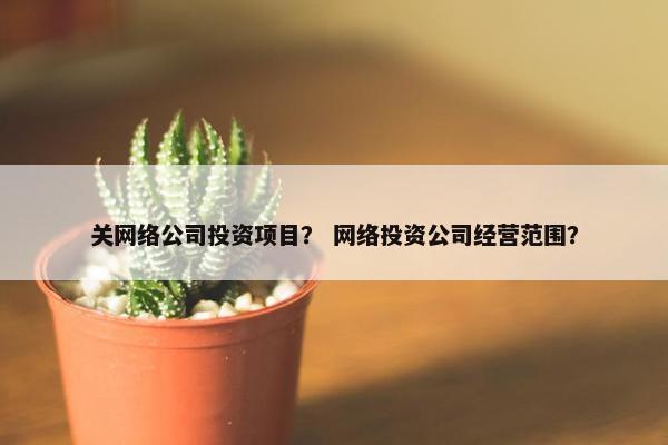 关网络公司投资项目？ 网络投资公司经营范围？