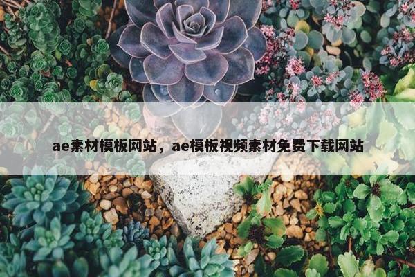 ae素材模板网站，ae模板视频素材免费下载网站