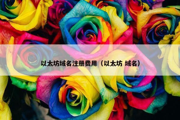 以太坊域名注册费用（以太坊 域名）