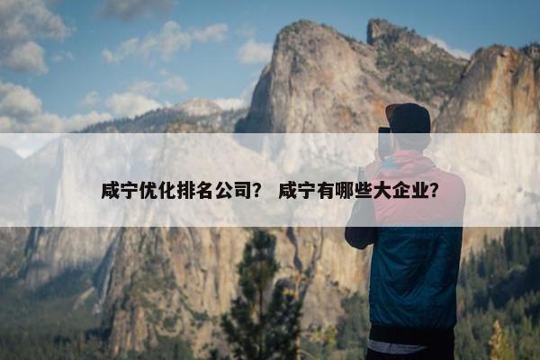 咸宁优化排名公司？ 咸宁有哪些大企业？