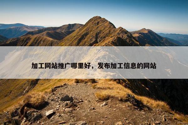 加工网站推广哪里好，发布加工信息的网站