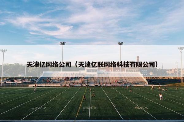 天津亿网络公司（天津亿联网络科技有限公司）