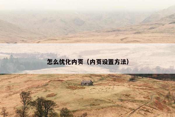 怎么优化内页（内页设置方法）
