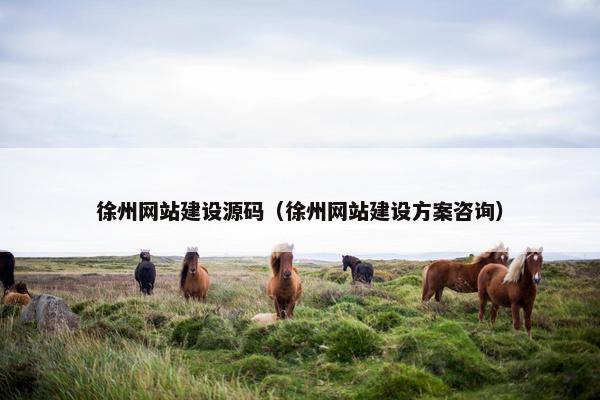 徐州网站建设源码（徐州网站建设方案咨询）