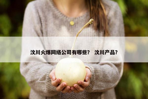 汶川火爆网络公司有哪些？ 汶川产品？