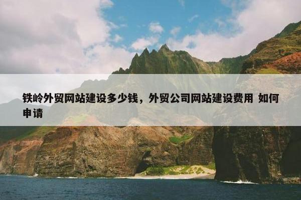 铁岭外贸网站建设多少钱，外贸公司网站建设费用 如何申请