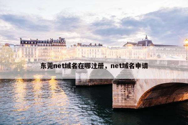 东莞net域名在哪注册，net域名申请