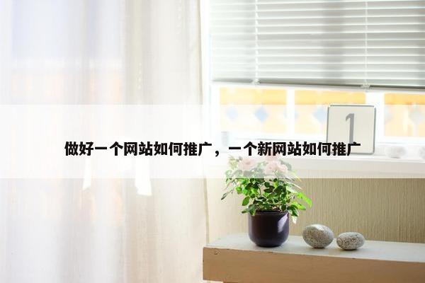 做好一个网站如何推广，一个新网站如何推广
