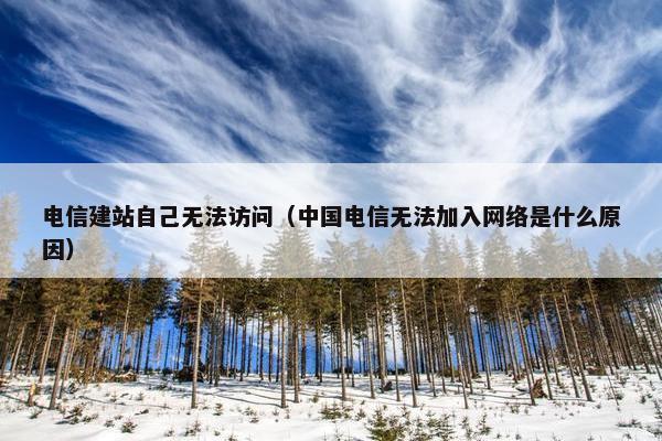 电信建站自己无法访问（中国电信无法加入网络是什么原因）