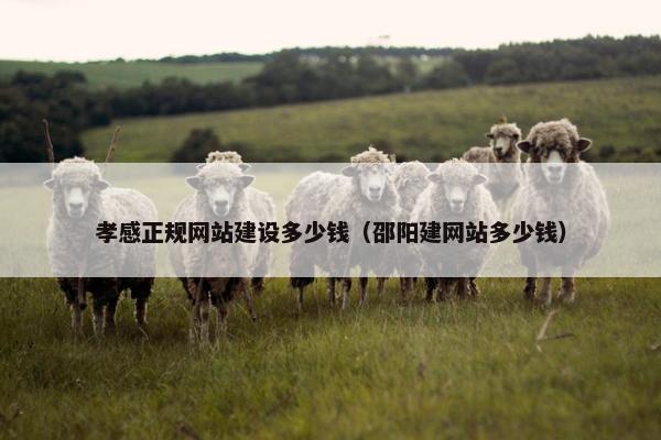 孝感正规网站建设多少钱（邵阳建网站多少钱）