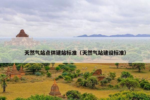 天然气站点供建站标准（天然气站建设标准）