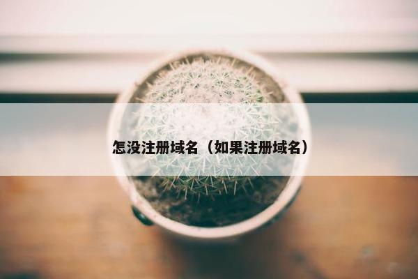 怎没注册域名（如果注册域名）