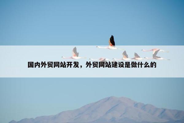 国内外贸网站开发，外贸网站建设是做什么的