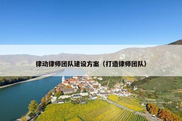 律动律师团队建设方案（打造律师团队）