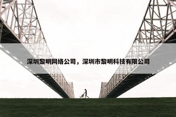 深圳黎明网络公司，深圳市黎明科技有限公司