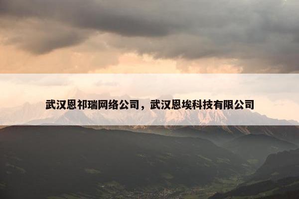 武汉恩祁瑞网络公司，武汉恩埃科技有限公司