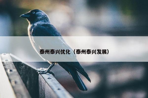泰州泰兴优化（泰州泰兴发展）
