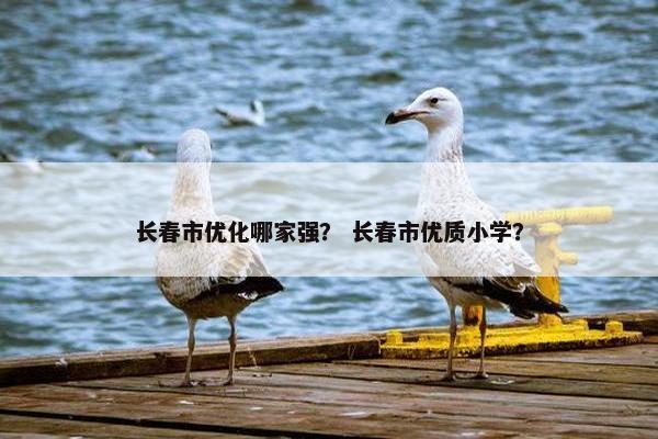 长春市优化哪家强？ 长春市优质小学？