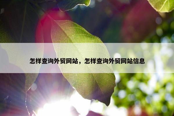 怎样查询外贸网站，怎样查询外贸网站信息