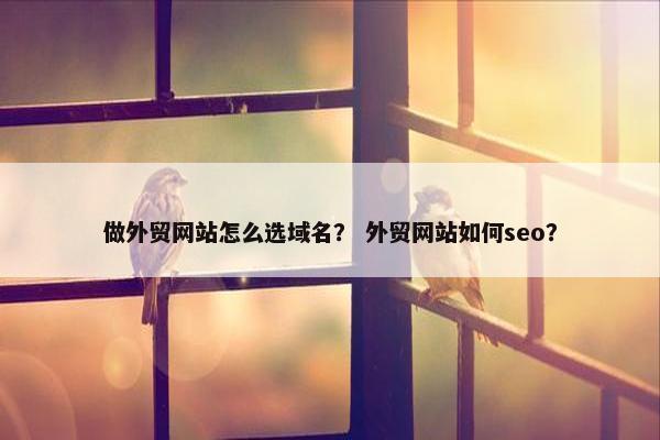 做外贸网站怎么选域名？ 外贸网站如何seo？