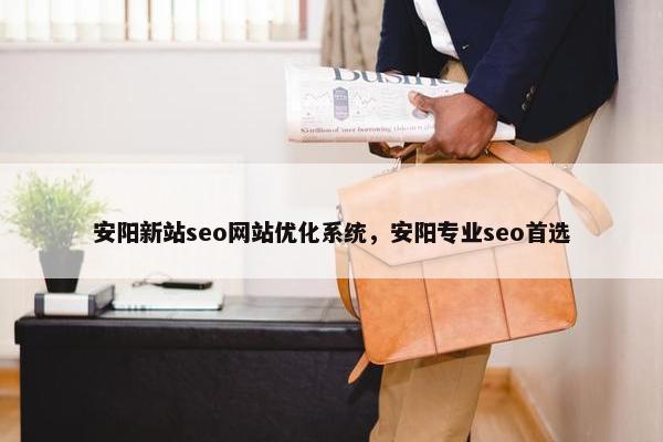 安阳新站seo网站优化系统，安阳专业seo首选