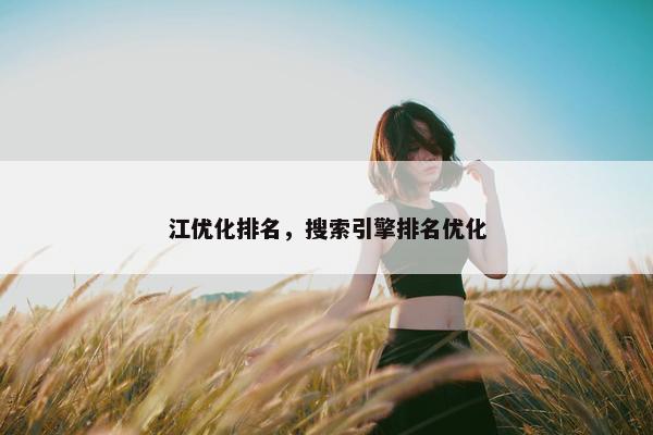 江优化排名，搜索引擎排名优化