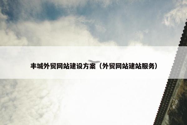 丰城外贸网站建设方案（外贸网站建站服务）