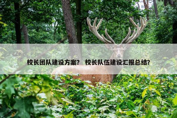 校长团队建设方案？ 校长队伍建设汇报总结？