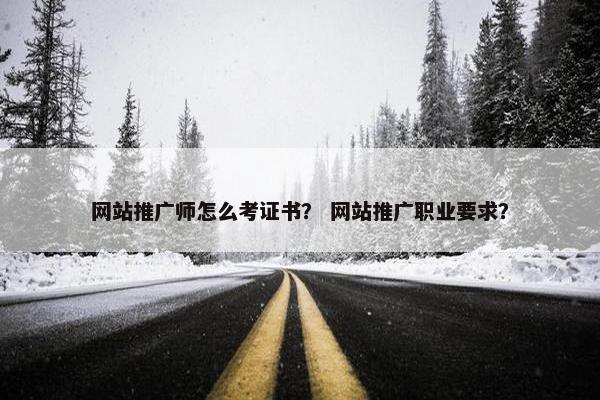网站推广师怎么考证书？ 网站推广职业要求？
