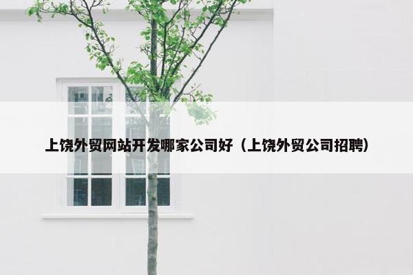 上饶外贸网站开发哪家公司好（上饶外贸公司招聘）